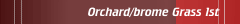 Orchard/brome Grass (1)