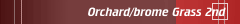 Orchard/brome Grass (2)