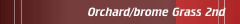 Orchard/brome Grass (2)